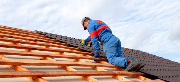 Best Asphalt Shingle Roofing  in Holyoke, CO